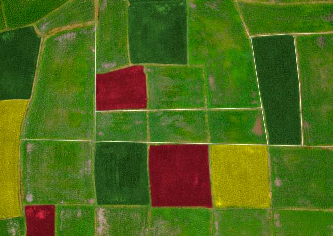 agricoltura_top_view-precisione-con-drone